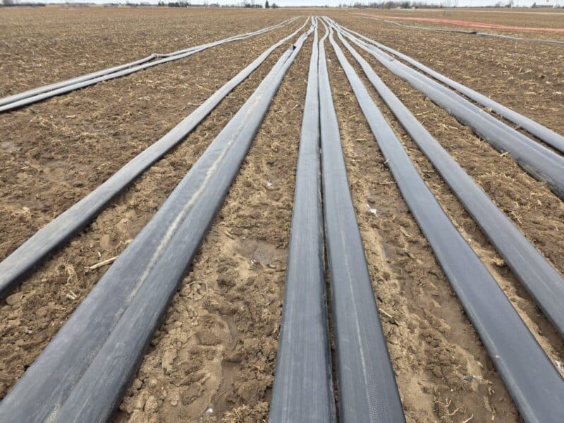 8″ TPU Supply Hose with Coupler Sets