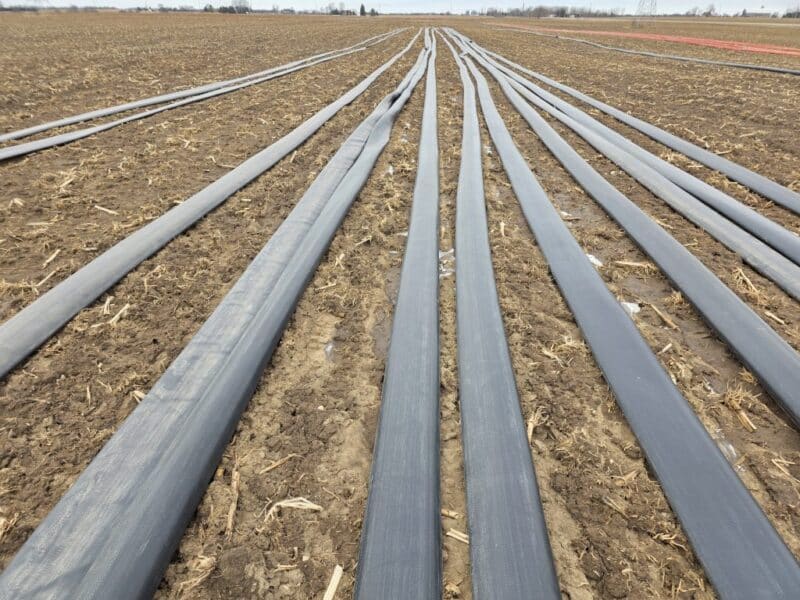 8″ TPU Supply Hose with Coupler Sets