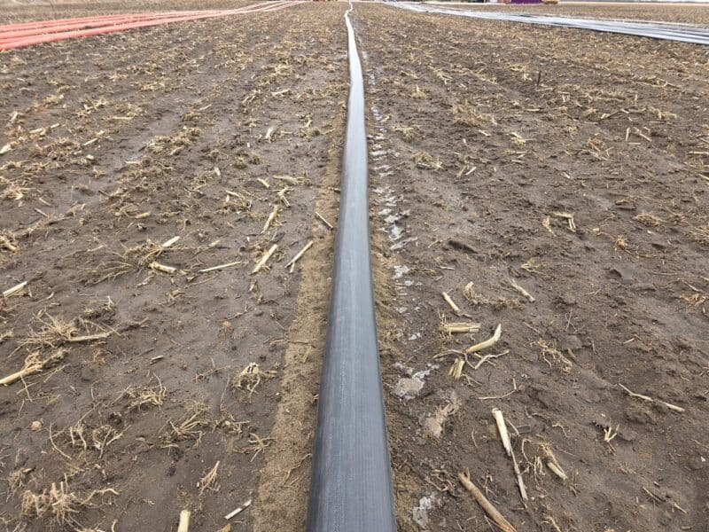 8″ TPU Supply Hose with Coupler Sets