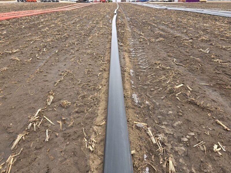 8″ TPU Supply Hose with Coupler Sets